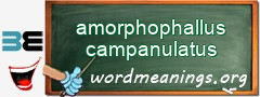 WordMeaning blackboard for amorphophallus campanulatus